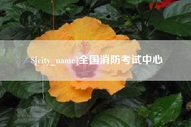 益阳全国消防考试中心