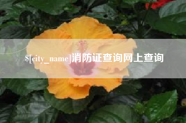 益阳消防证查询网上查询