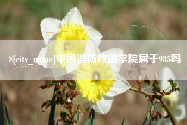 益阳中国消防救援学院属于985吗