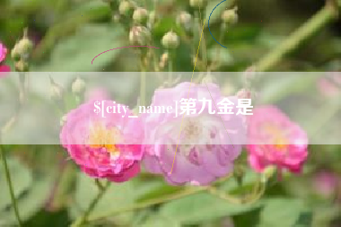 益阳第九金是