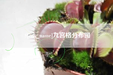 益阳九宫格分布图