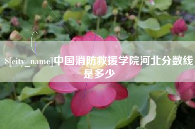 益阳中国消防救援学院河北分数线是多少
