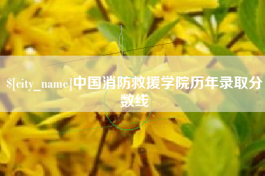 益阳中国消防救援学院历年录取分数线