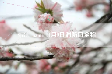 益阳11月9日消防日全称