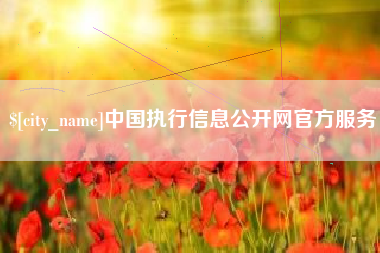 益阳中国执行信息公开网官方服务