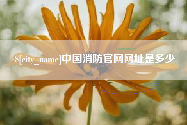 益阳中国消防官网网址是多少