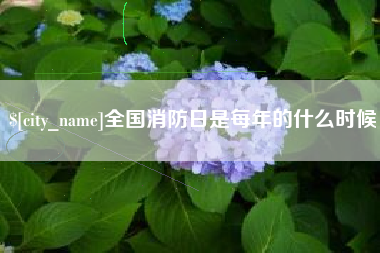 益阳全国消防日是每年的什么时候