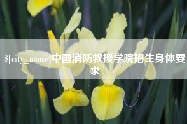 益阳中国消防救援学院招生身体要求