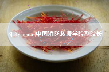 益阳中国消防救援学院副院长