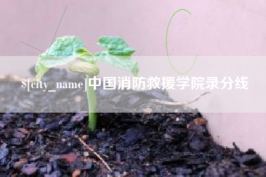 益阳中国消防救援学院录分线