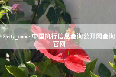 益阳中国执行信息查询公开网查询官网