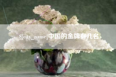 益阳中国的金牌有几名