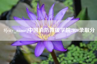 益阳中国消防救援学院2020录取分