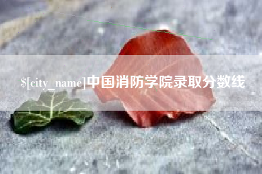 益阳中国消防学院录取分数线