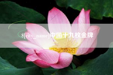 益阳中国十九枚金牌