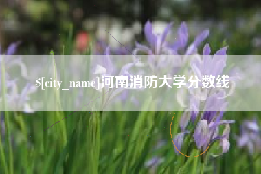 益阳河南消防大学分数线