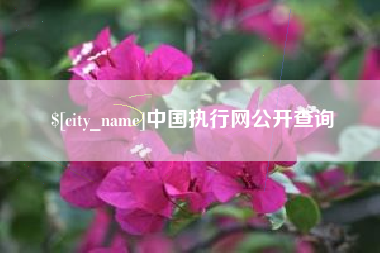 益阳中国执行网公开查询