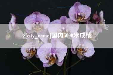 益阳国内5000米成绩