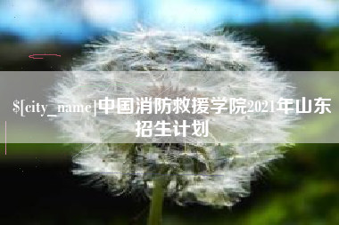 益阳中国消防救援学院2021年山东招生计划