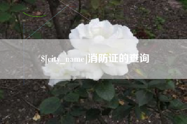 益阳消防证的查询