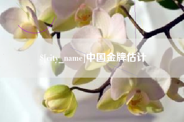 益阳中国金牌估计