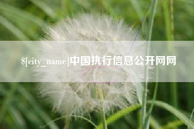 益阳中国执行信息公开网网