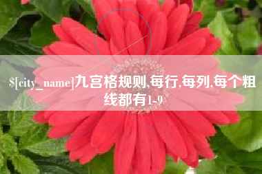 益阳九宫格规则,每行,每列,每个粗线都有1-9