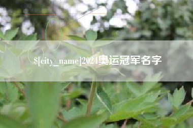 益阳2024奥运冠军名字