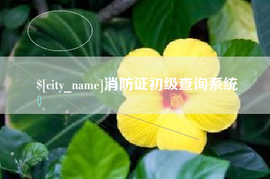 益阳消防证初级查询系统