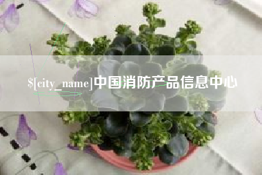 益阳中国消防产品信息中心