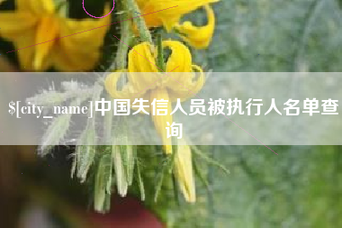 益阳中国失信人员被执行人名单查询