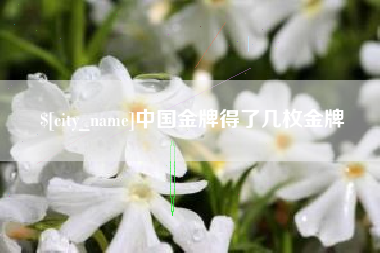 益阳中国金牌得了几枚金牌