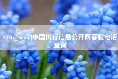 益阳中国执行信息公开网客服电话查询