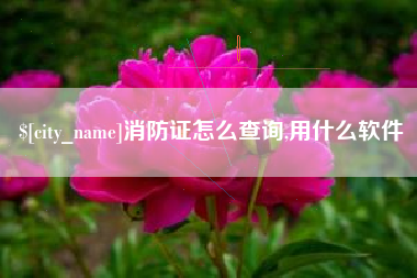 益阳消防证怎么查询,用什么软件