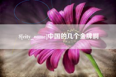 益阳中国的几个金牌啊