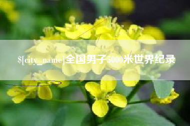 益阳全国男子5000米世界纪录