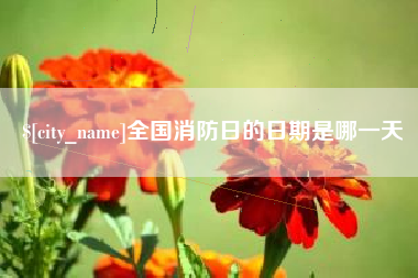 益阳全国消防日的日期是哪一天