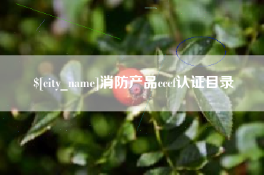 益阳消防产品cccf认证目录