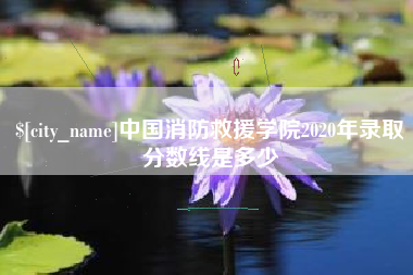 益阳中国消防救援学院2020年录取分数线是多少
