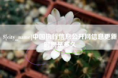益阳中国执行信息公开网信息更新时间是多久