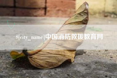益阳中国消防救援教育网