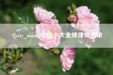 益阳中国十大金牌律师名单