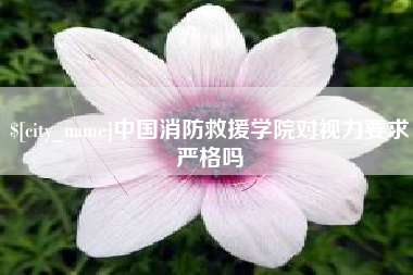益阳中国消防救援学院对视力要求严格吗