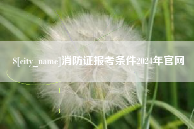 益阳消防证报考条件2024年官网