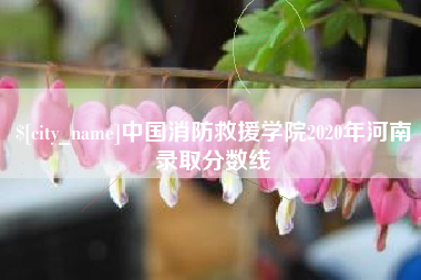 益阳中国消防救援学院2020年河南录取分数线