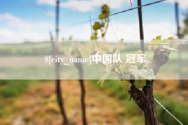 益阳中国队 冠军