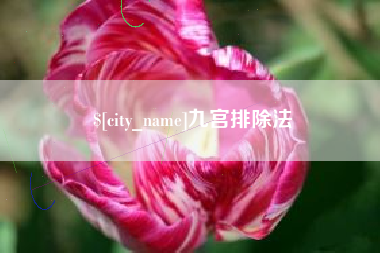 益阳九宫排除法