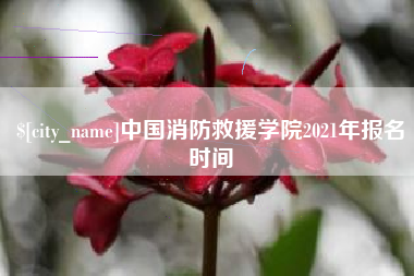 益阳中国消防救援学院2021年报名时间