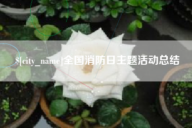 益阳全国消防日主题活动总结