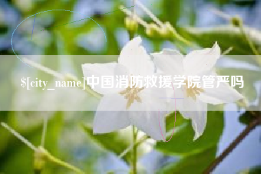 益阳中国消防救援学院管严吗